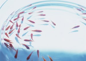 实体经济排行推荐：实体行业里最值得订阅的媒体